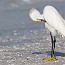 thumbs/IMG_1501.jpg